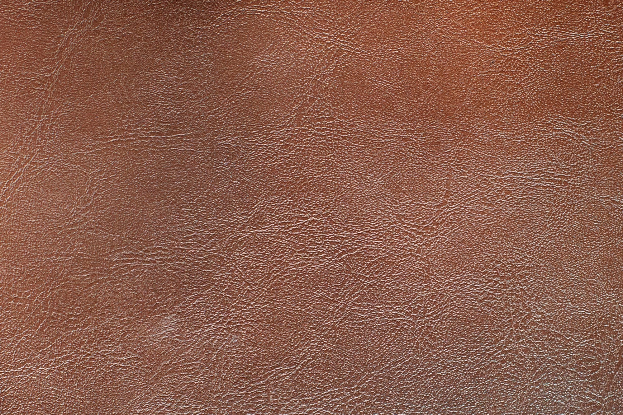 Cuir